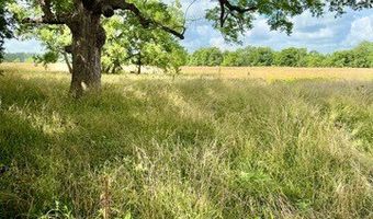 0 HWY 71, Alexandria, LA 71303