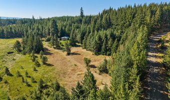 401 APPLETON Rd, Appleton, WA 98602