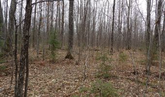 Off WRIGHT RD 40+/- Acre, Winter, WI 54896