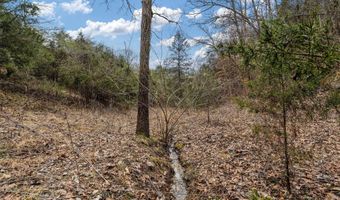Smithtown Road, Afton, TN 37616