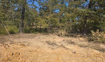 S80 Helt Rd, Antlers, OK 74525