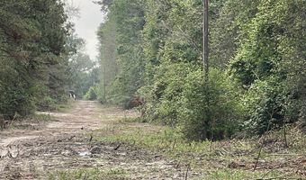 R15685 Moore Cemetery Road, Apple Springs, TX 77519