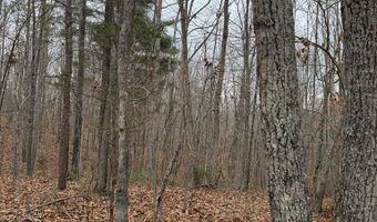 626 Holiday Lake Rd Lot 1, Appomattox, VA 24522