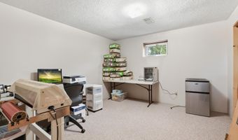38018 260th St, Arlington, MN 55307