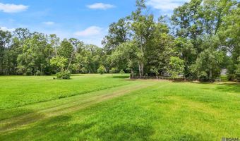 29809 S Cafe Line Rd, Albany, LA 70711