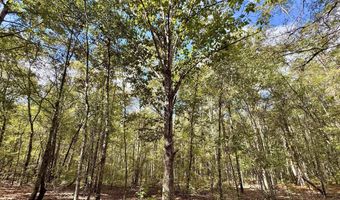 Eugene Ward Road, Adrian, GA 31002