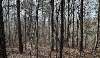 Highway 105, Baldwin, GA 30511