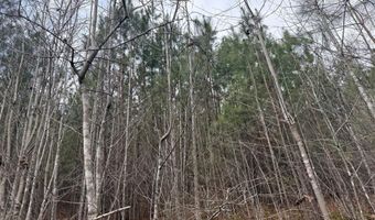 HARDWARE RD lot C2, Arvonia, VA 23004