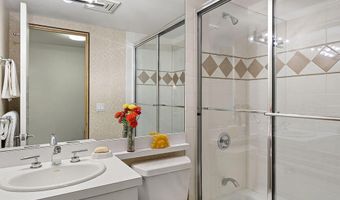 530 W Francis St, Aspen, CO 81611