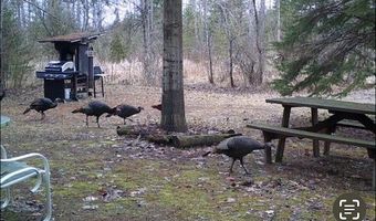 2254 E M30, Alger, MI 48610