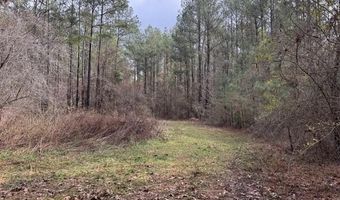 920 A Auburn Dr, Bogue Chitto, MS 39629