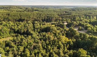 2204 NW Plum Valley Rd, Alden, MI 49612
