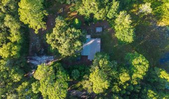 54544 BUCKHORN Rd, Astor, FL 32102