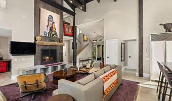 1145 Black Birch Dr, Aspen, CO 81611