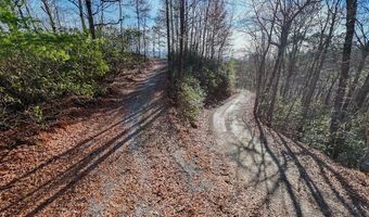 430 Live Oak Ter, Andrews, NC 28901