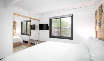 901 E Hyman Ave 4, Aspen, CO 81611