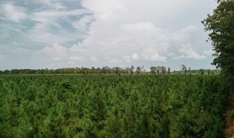 Copeland Ridge Road, Arkadelphia, AR 71923