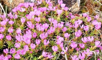 Tbd Crazy Horse Basin, Boulder, MT 59632