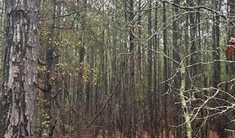 TBD Freeman Rd, Bethune, SC 29009