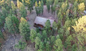 6 County Road 2271, Alpine, AZ 85920