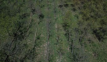 No Situs 3.14ac 636A Avenue, Auburn, NE 68305
