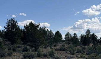 TL 300 HWY 140, Beatty, OR 97621
