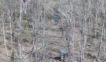 5280 Cathro Rd, Alpena, MI 49707