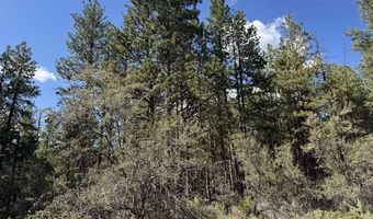 Thunderbear Road 46, Bonanza, OR 97623