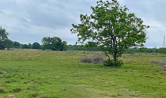 FM 2917, Alvin, TX 77511