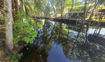 56290 CHERRY TREE Rd, Astor, FL 32102