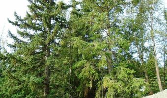 Lot 2 Greece Drive, Anchorage, AK 99516