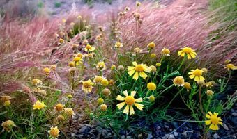 100 Carbide Ln, Carrizozo, NM 88301