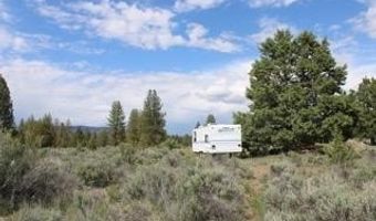 Deer Springs Road, Beatty, OR 97621