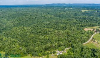 Tract # 16 Willis Creek, Albany, KY 42602