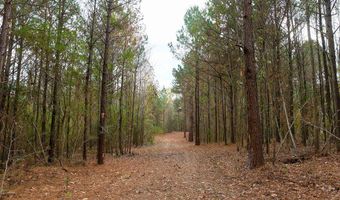 00002 Trickhambridge Rd, Brandon, MS 39042