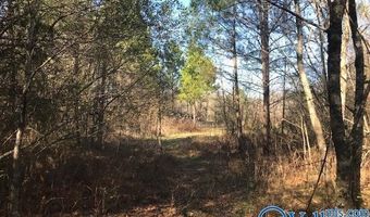 6777 Hwy 207, Anderson, AL 35610