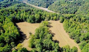 Bolestown Loop Lot 7, Alpine, TN 38543