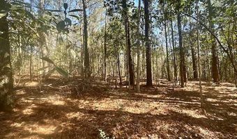 0 Tervin Mill Rd, Andalusia, AL 36421