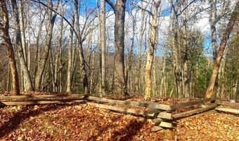 SPITZ Lane, Basye, VA 22810