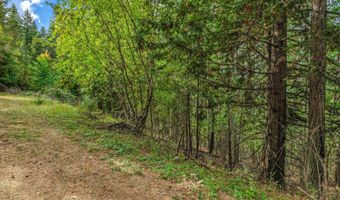 NKA Silver Creek Road, Clark Fork, ID 83811