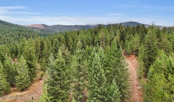 1571 Stone, Blanchard, ID 83804