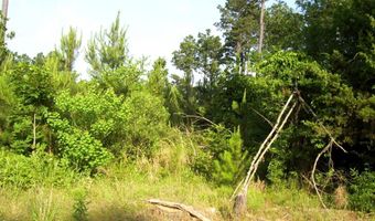 263 LR 182, Ashdown, AR 71822