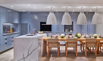 550 S Spring St F2-1, Aspen, CO 81611