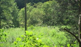 43 Sanctuary Ln, Alderson, WV 24910