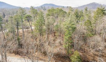Ball Gap Road, Arden, NC 28704