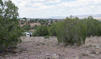 14 XX W BISON HUNT No Address Way 104, Chino Valley, AZ 86323