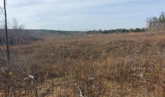 85 6+/- Acres County Road 2291, Booneville, MS 38829