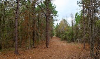 00002 Trickhambridge Rd, Brandon, MS 39042