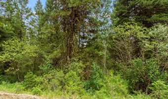 517 Susan Rd Lot 41, Cascade, ID 83611