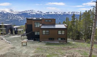 316 N Fuller Placer Rd, Breckenridge, CO 80424